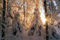 Foto von Pascal Debrunner, unsplash